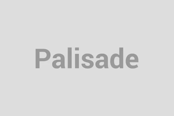 Steel Palisade